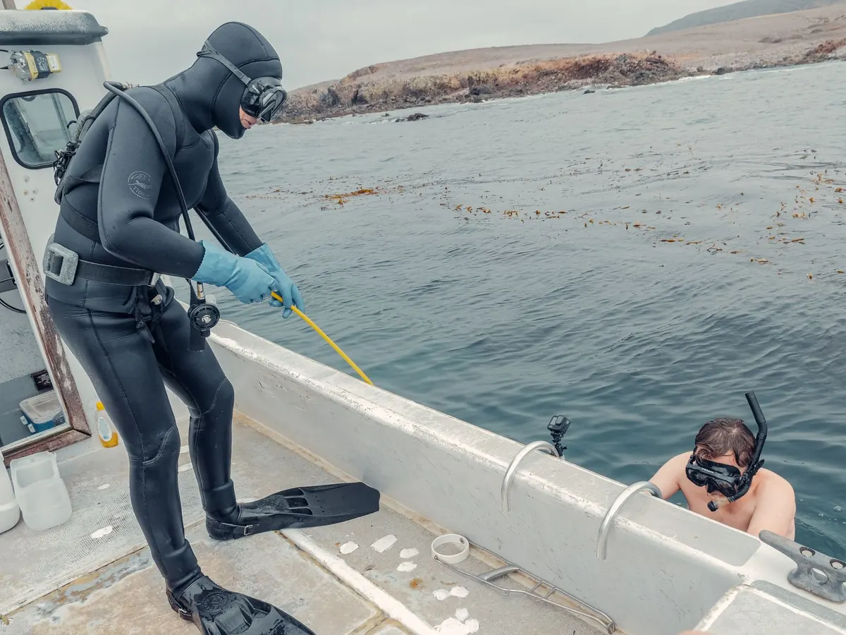 How to Choose a Responsible Dive Operator in the Red Sea
